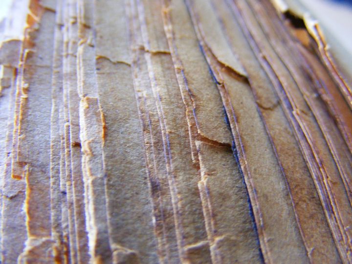 biblioteca 248 copy.jpg